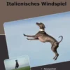 Traumrasse Italienisches Windspiel