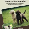 Traumrasse Lagotto Romagnolo