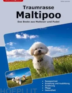 Traumrasse Maltipoo