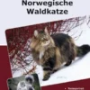 Traumrasse Norwegische Waldkatze