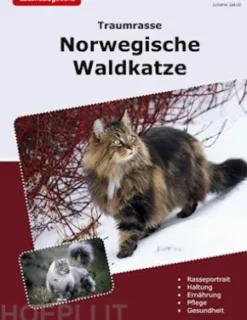 Traumrasse Norwegische Waldkatze