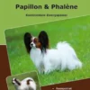 Traumrasse Papillon & Phalène
