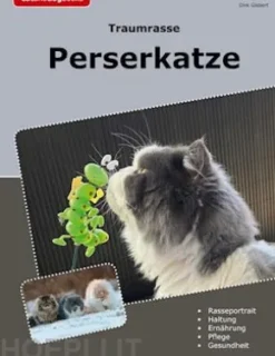 Traumrasse Perserkatze