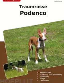 Traumrasse Podenco