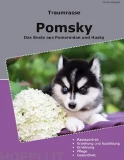 Traumrasse Pomsky