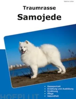Traumrasse Samojede