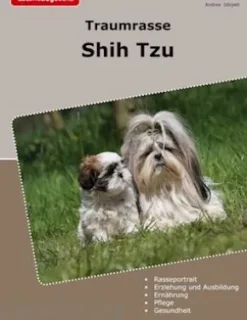 Traumrasse Shih Tzu