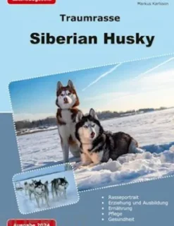 Traumrasse: Siberian Husky