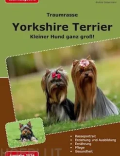 Traumrasse: Yorkshire Terrier