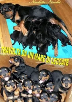 Travolta da un mare di leccate