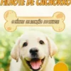 Treinamento Para Filhote De Cachorro