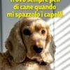 Trovo sempre peli di cane quando mi spazzolo i capelli