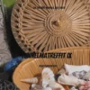 Tunnelmatreffit IX