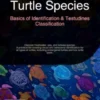 Turtle Species: Basics of Identification & Testudines Classification