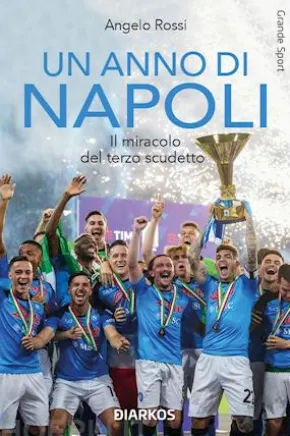 Un anno di Napoli