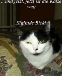 Und jetzt jetzt ist die Katze weg