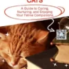 Understanding Cats
