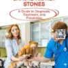 Understanding Canine Kidney Stones