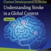 Understanding Stroke in a Global Context