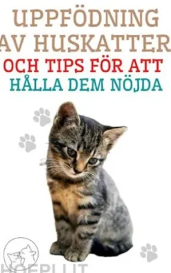 Uppfödning av Huskatter och Tips för att Hålla dem Nöjda