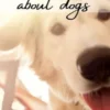 Useless Knowledge about Dogs