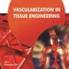 Vascularization in Tissue Engineering
