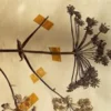 Vivre sa mort