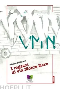 VMN