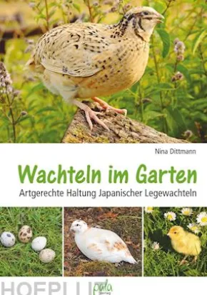 Wachteln im Garten