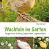 Wachteln im Garten