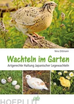 Wachteln im Garten