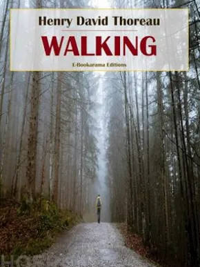 Walking