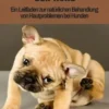 Was Juckt's Den Hund