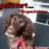 Was kommt, wird gefüttert....