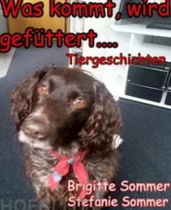 Was kommt, wird gefüttert....