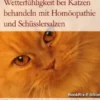 Wetterfühligkeit bei Katzen behandeln mit Homöopathie und Schüsslersalzen
