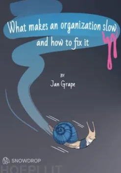 What makes an organization slow and how to fix it