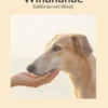 Windhunde: Gefährten mit Würde