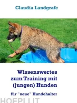 Wissenswertes zum Training mit (jungen) Hunden