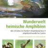 Wunderwelt heimische Amphibien