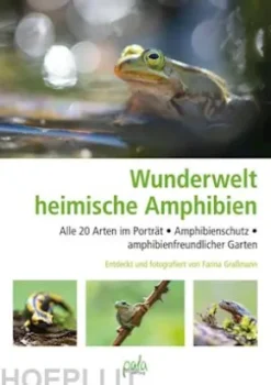 Wunderwelt heimische Amphibien