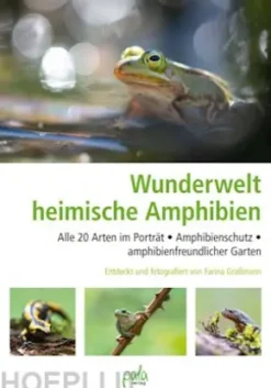 Wunderwelt heimische Amphibien