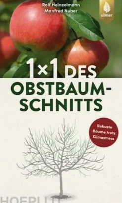 1 x 1 des Obstbaumschnitts