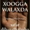 Xoogga walaxda