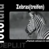 Zebras(treifen)