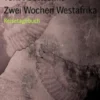 Zwei Wochen Westafrika